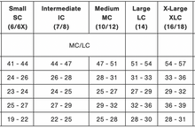 Load image into Gallery viewer, Ballet Level 2